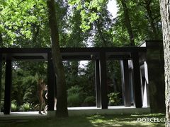 Две супружеские пары обменялись партнерами для анальной оргии