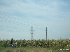 Незнакомец подошел и трахнул на природе молчаливую студентку